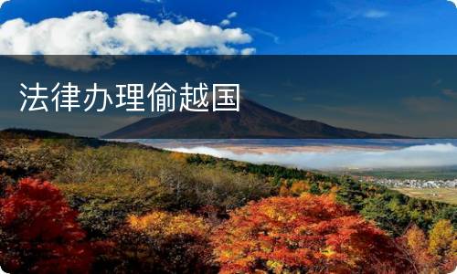 法律办理偷越国