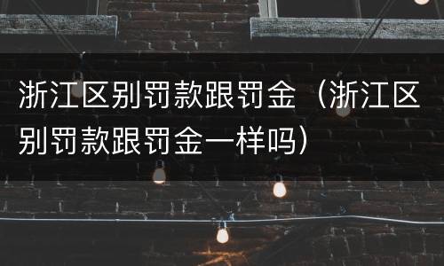 浙江区别罚款跟罚金（浙江区别罚款跟罚金一样吗）