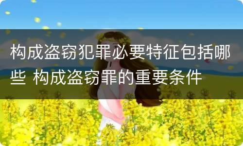 构成盗窃犯罪必要特征包括哪些 构成盗窃罪的重要条件