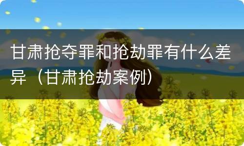 甘肃抢夺罪和抢劫罪有什么差异（甘肃抢劫案例）