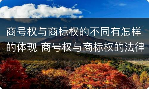 商号权与商标权的不同有怎样的体现 商号权与商标权的法律冲突与解决