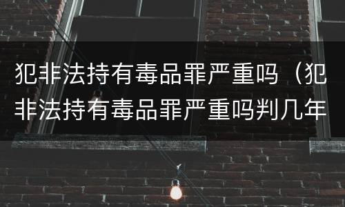 犯非法持有毒品罪严重吗（犯非法持有毒品罪严重吗判几年）