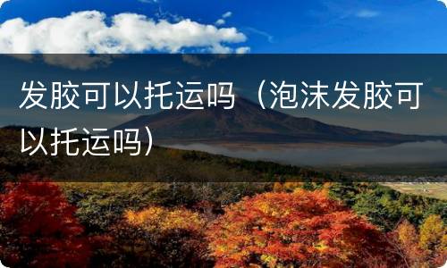 发胶可以托运吗（泡沫发胶可以托运吗）