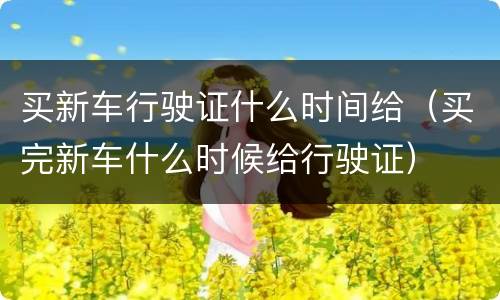 买新车行驶证什么时间给（买完新车什么时候给行驶证）