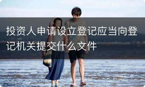 投资人申请设立登记应当向登记机关提交什么文件