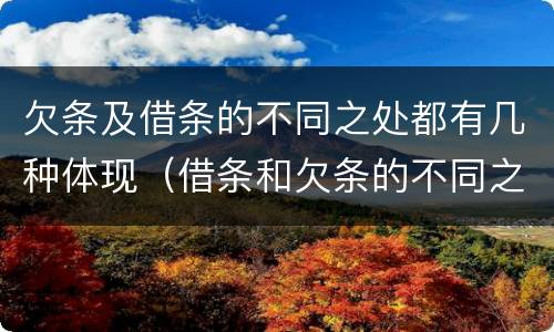 欠条及借条的不同之处都有几种体现（借条和欠条的不同之处有哪些）