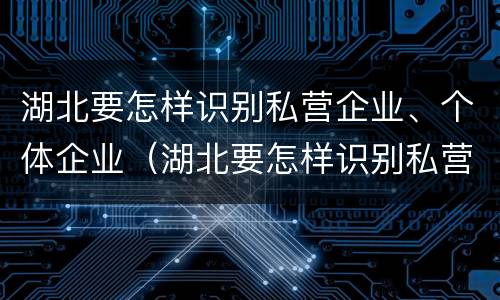 湖北要怎样识别私营企业、个体企业（湖北要怎样识别私营企业,个体企业呢）