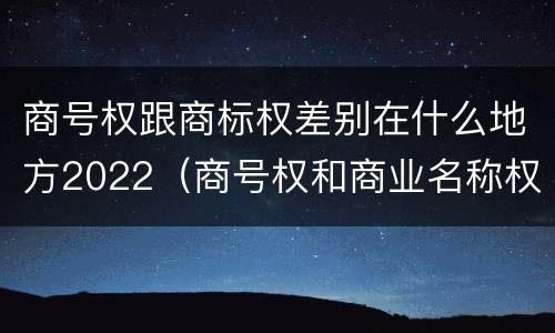 商号权跟商标权差别在什么地方2022（商号权和商业名称权）