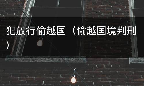 犯放行偷越国（偷越国境判刑）