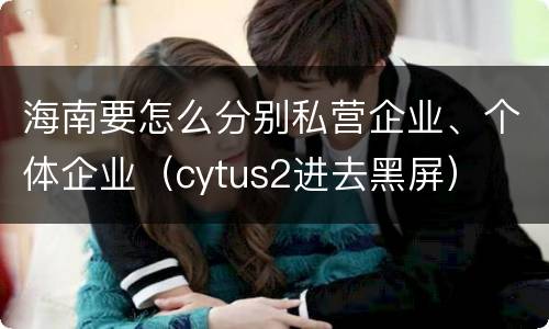 海南要怎么分别私营企业、个体企业（cytus2进去黑屏）