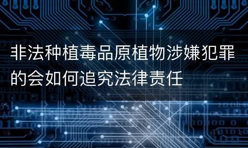 非法种植毒品原植物涉嫌犯罪的会如何追究法律责任