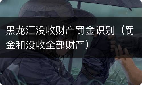 黑龙江没收财产罚金识别（罚金和没收全部财产）