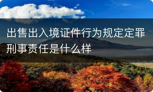出售出入境证件行为规定定罪刑事责任是什么样