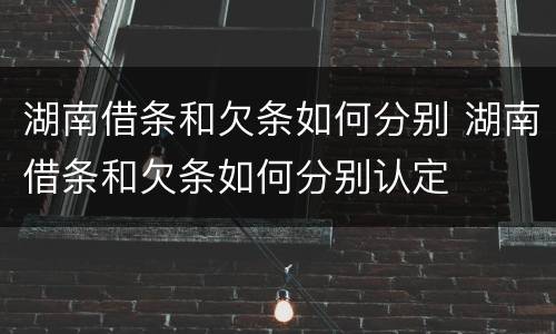 湖南借条和欠条如何分别 湖南借条和欠条如何分别认定