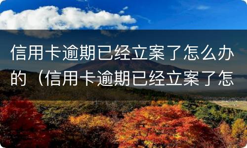 信用卡逾期已经立案了怎么办的（信用卡逾期已经立案了怎么办的呢）