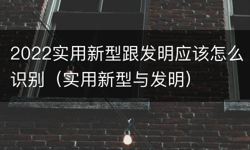 2022实用新型跟发明应该怎么识别（实用新型与发明）