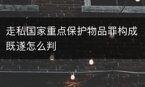走私国家重点保护物品罪构成既遂怎么判