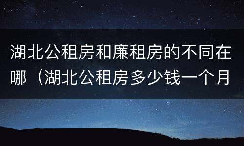 湖北公租房和廉租房的不同在哪（湖北公租房多少钱一个月）