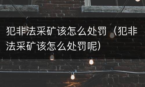 犯非法采矿该怎么处罚（犯非法采矿该怎么处罚呢）