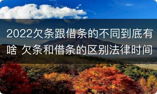 2022欠条跟借条的不同到底有啥 欠条和借条的区别法律时间多少年