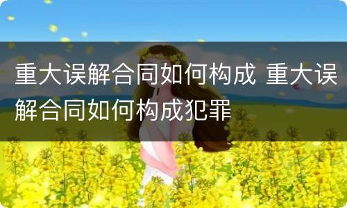 重大误解合同如何构成 重大误解合同如何构成犯罪