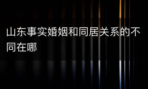 山东事实婚姻和同居关系的不同在哪