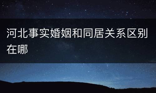 河北事实婚姻和同居关系区别在哪