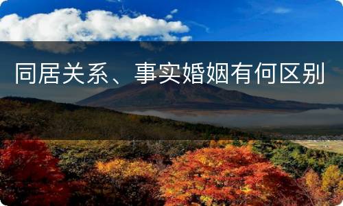 同居关系、事实婚姻有何区别