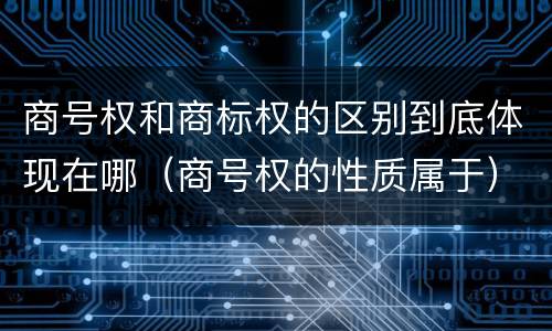 商号权和商标权的区别到底体现在哪（商号权的性质属于）