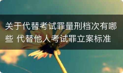 关于代替考试罪量刑档次有哪些 代替他人考试罪立案标准