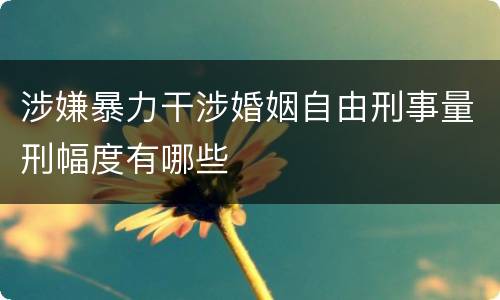 涉嫌暴力干涉婚姻自由刑事量刑幅度有哪些