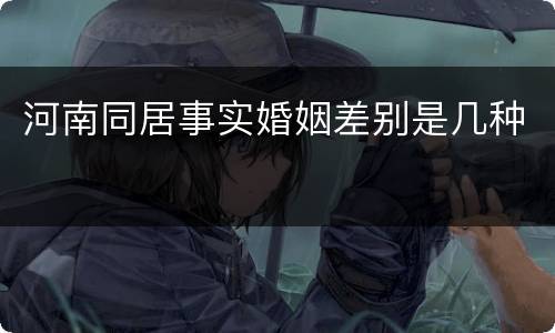 河南同居事实婚姻差别是几种