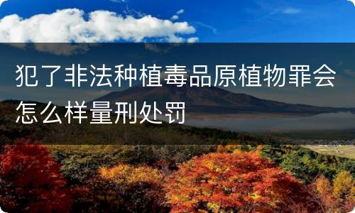 犯了非法种植毒品原植物罪会怎么样量刑处罚