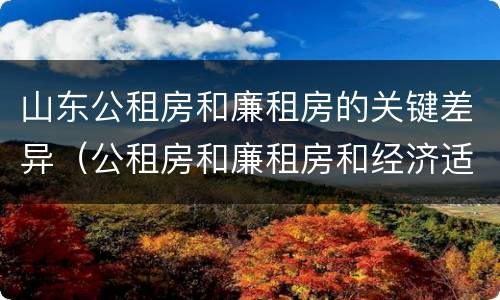 山东公租房和廉租房的关键差异（公租房和廉租房和经济适用房）