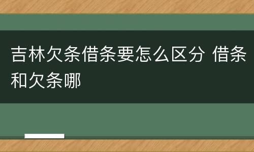 吉林欠条借条要怎么区分 借条和欠条哪