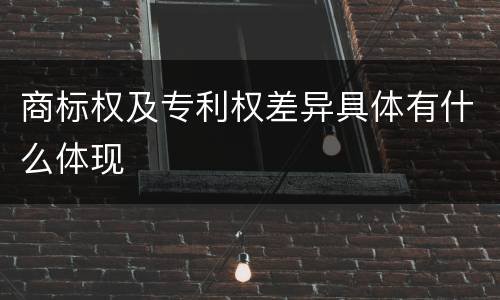 商标权及专利权差异具体有什么体现