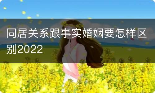 同居关系跟事实婚姻要怎样区别2022