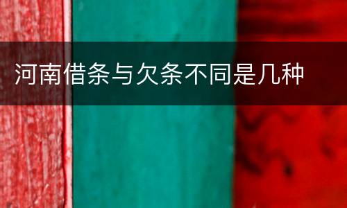 河南借条与欠条不同是几种