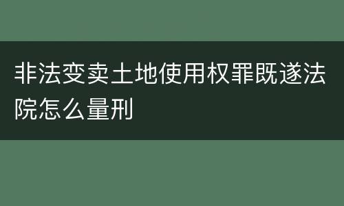 非法变卖土地使用权罪既遂法院怎么量刑