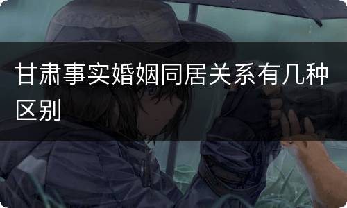 甘肃事实婚姻同居关系有几种区别