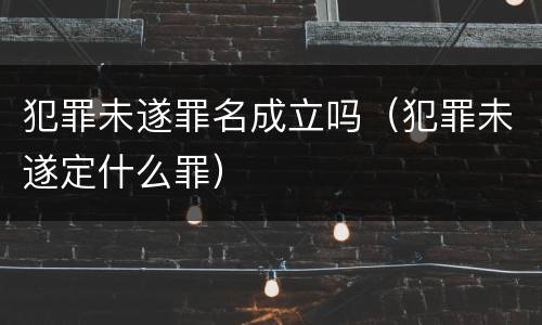 犯罪未遂罪名成立吗（犯罪未遂定什么罪）