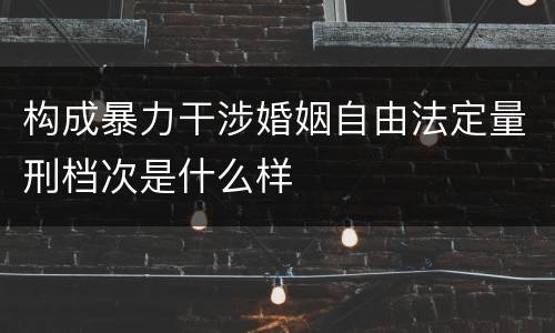 构成暴力干涉婚姻自由法定量刑档次是什么样