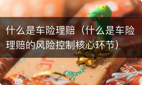 什么是车险理赔（什么是车险理赔的风险控制核心环节）
