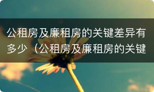 公租房及廉租房的关键差异有多少（公租房及廉租房的关键差异有多少种）