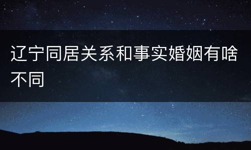 辽宁同居关系和事实婚姻有啥不同