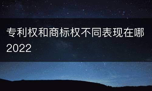 专利权和商标权不同表现在哪2022