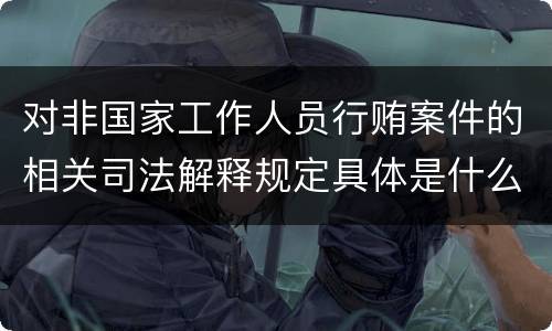 对非国家工作人员行贿案件的相关司法解释规定具体是什么