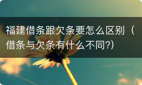 福建借条跟欠条要怎么区别（借条与欠条有什么不同?）