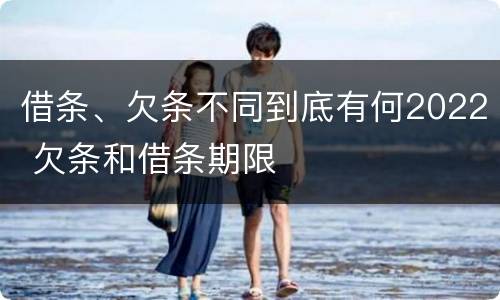 借条、欠条不同到底有何2022 欠条和借条期限
