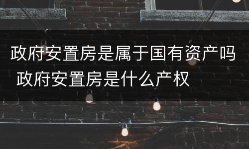 政府安置房是属于国有资产吗 政府安置房是什么产权